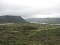 Rainy morning along the Denali Highway